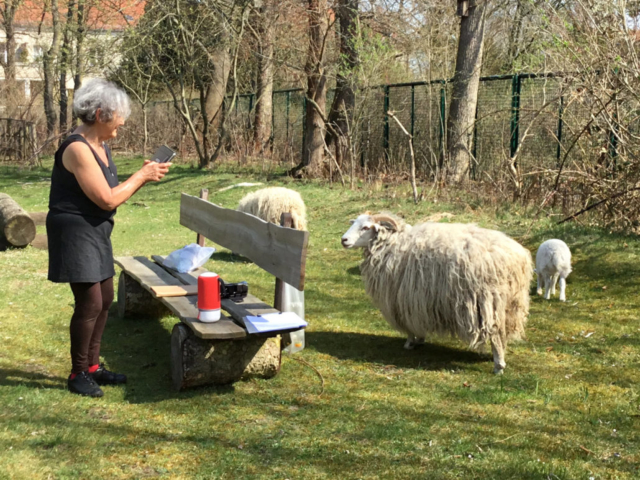 Workshop Naturkunst und Tanz
